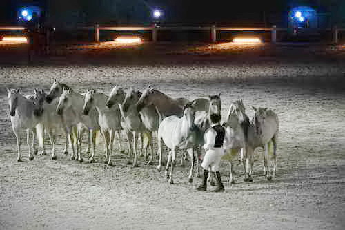 WEG-8-23-14-OpenCeremony-0003321-DDeRosaPhoto