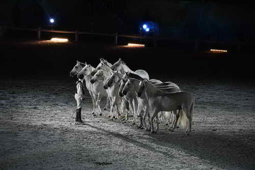 WEG-8-23-14-OpenCeremony-0003329-DDeRosaPhoto