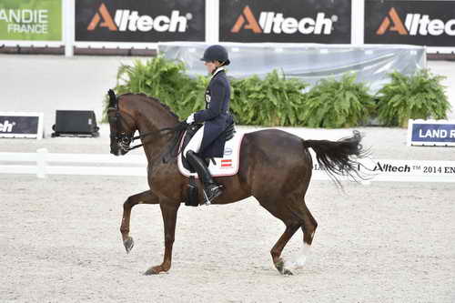 WEG-Dressage-8-25-14-GPTeam-0003689-KarinKosak-Lucy'sDay-AUT-DDeRosaPhoto