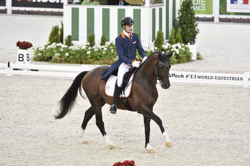 WEG-Dressage-8-25-14-GPTeam-0003717-DierderikvanSilfhout-ArlandoNHNOP-NED-DDeRosaPhoto