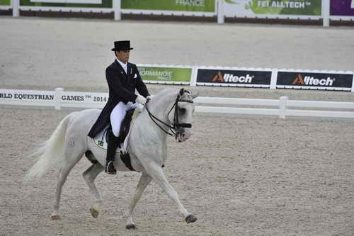 WEG-Dressage-8-25-14-GPTeam-0003768-PedroTavaresDeAlmeida-Samba-BRA-DDeRosaPhoto