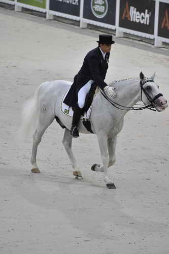 WEG-Dressage-8-25-14-GPTeam-0003777-PedroTavaresDeAlmeida-Samba-BRA-DDeRosaPhoto