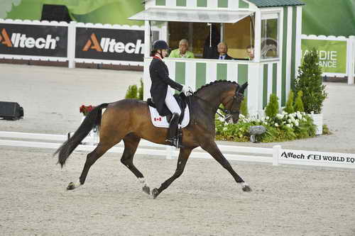 WEG-Dressage-8-25-14-GPTeam-0003784-KarenPavicic-DonDaiquiri-CAN-DDeRosaPhoto