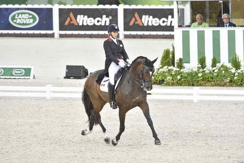WEG-Dressage-8-25-14-GPTeam-0003808-KarenPavicic-DonDaiquiri-CAN-DDeRosaPhoto