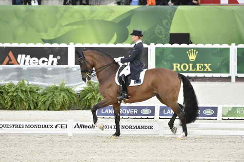 WEG-Dressage-8-25-14-GPTeam-0004116-MareeTomkinson-Diamantina4-AUS-DDeRosaPhoto