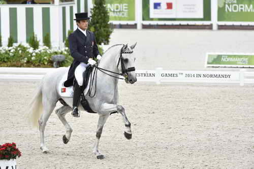 WEG-Dressage-8-25-14-GPTeam-0004207-ManuelVeiga-BenHurDaBroa-POR-DDeRosaPhoto