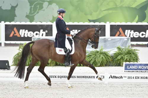 WEG-Dressage-8-25-14-GPTeam-0004367-GarethHughes-DVStenkjersNadonna-GBR-DDeRosaPhoto