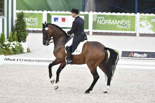 WEG-Dressage-8-25-14-GPTeam-0004469-JamesConnor-CasinoRoyal-IRL-DDeRosaPhoto