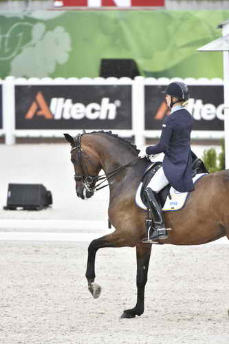WEG-Dressage-8-25-14-GPTeam-0004669-JeannaHogberg-DarciaVH-SWE-DDeRosaPhoto