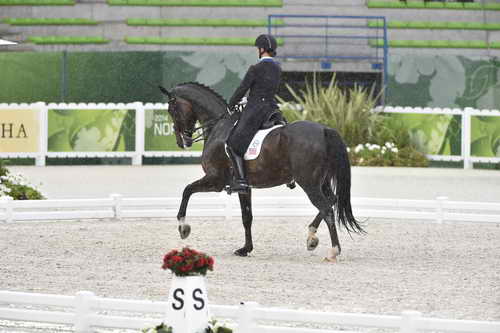 WEG-Dressage-8-25-14-GPTeam-0005966-AdrienneLyle-Wizard-USA-DDeRosaPhoto