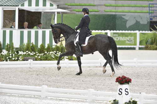 WEG-Dressage-8-25-14-GPTeam-0005967-AdrienneLyle-Wizard-USA-DDeRosaPhoto