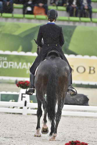 WEG-Dressage-8-25-14-GPTeam-0006008-AdrienneLyle-Wizard-USA-DDeRosaPhoto