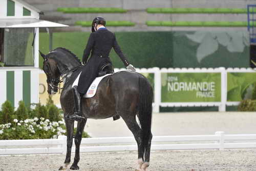 WEG-Dressage-8-25-14-GPTeam-0006089-AdrienneLyle-Wizard-USA-DDeRosaPhoto