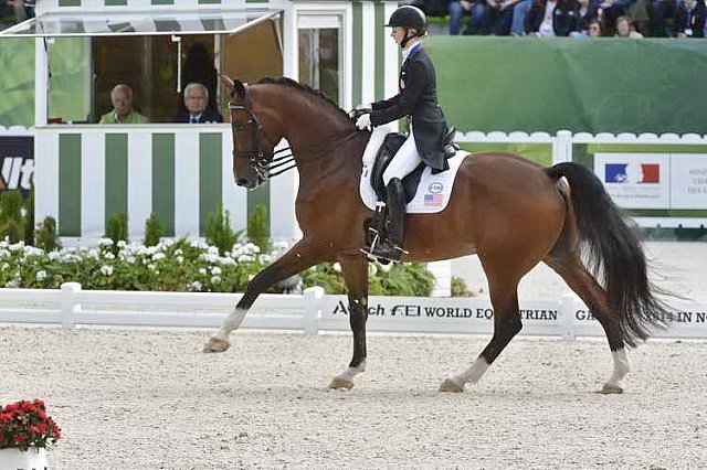 WEG1-Dressage-8-26-14-GPTeam-0007746-LauraGraves-Verdades-USA-DDeRosaPhoto