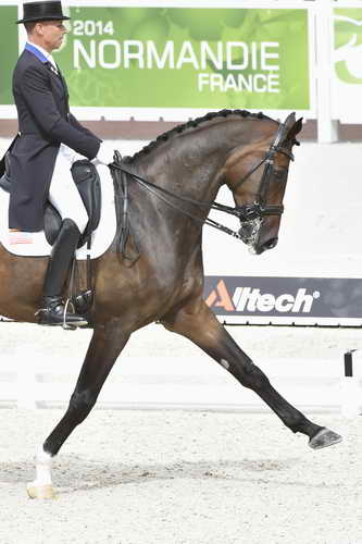 WEG1-Dressage-8-26-14-GPTeam-0009234-SteffenPeters-Legolas92-USA-DDeRosaPhoto-8x12