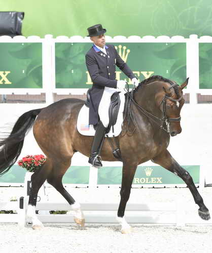 WEG1-Dressage-8-26-14-GPTeam-0009238-SteffenPeters-Legolas92-USA-DDeRosaPhoto-vert