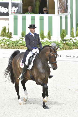 WEG1-Dressage-8-26-14-GPTeam-0009346-SteffenPeters-Legolas92-USA-DDeRosaPhoto