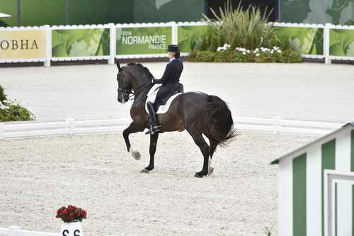 WEG-Dressage-8-25-14-GPTeam-0003876-TinaKonyot-CalectoV-USA-DDeRosaPhoto