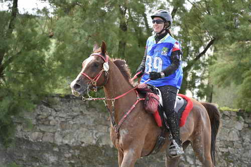 WEG-EnduranceRace-8-28-14-0002890-DDeRosaPhoto