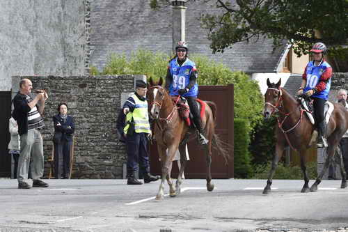 WEG-EnduranceRace-8-28-14-0002916-DDeRosaPhoto