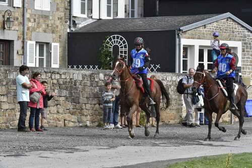 WEG-EnduranceRace-8-28-14-0002939-DDeRosaPhoto