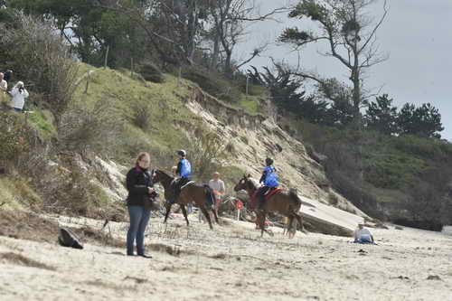 WEG-EnduranceRace-8-28-14-0004313-DDeRosaPhoto