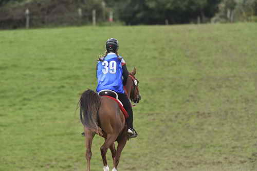 WEG-EnduranceRace-8-28-14-0005014-DDeRosaPhoto