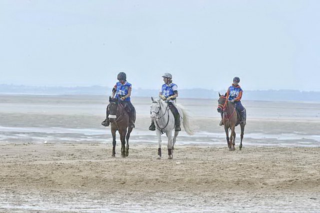 WEG-EnduranceRace-8-28-14-0004542-DDeRosaPhoto