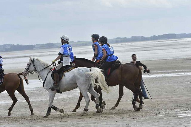 WEG-EnduranceRace-8-28-14-0004627-DDeRosaPhoto