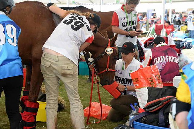 WEG2-Endurance-8-28-14-6640-DDeRosaPhoto