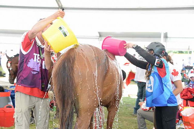 WEG2-Endurance-8-28-14-6654-DDeRosaPhoto