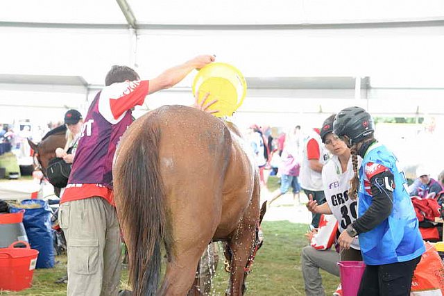 WEG2-Endurance-8-28-14-6660-DDeRosaPhoto