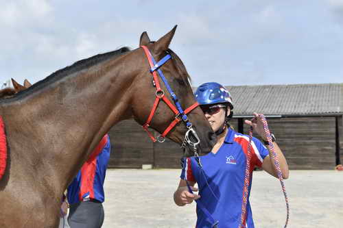 WEG-Endurance-8-24-14-0003599-Heather-JeremyReynolds-DDeRosaPhoto