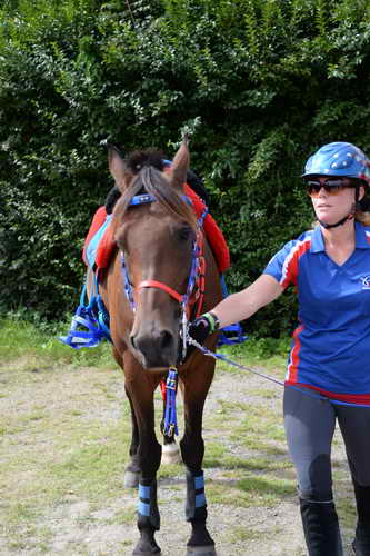 WEG-Endurance-8-24-14-4546-Jeremy-EllenOlson-DDeRosaPhoto