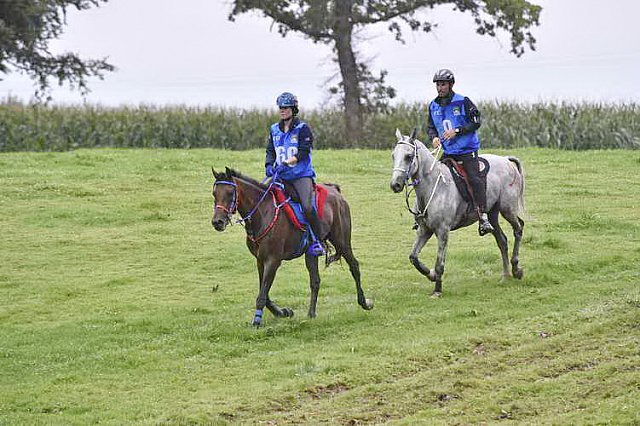 WEG-EnduranceRace-8-28-14-0001301-DDeRosaPhoto