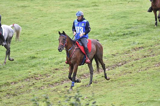 WEG-EnduranceRace-8-28-14-0001310-DDeRosaPhoto