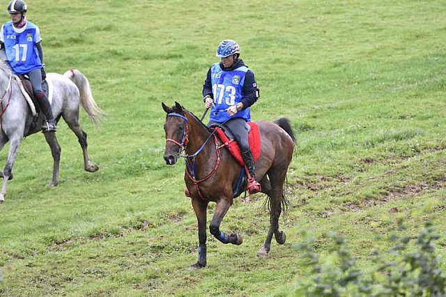 WEG-EnduranceRace-8-28-14-0001314-DDeRosaPhoto