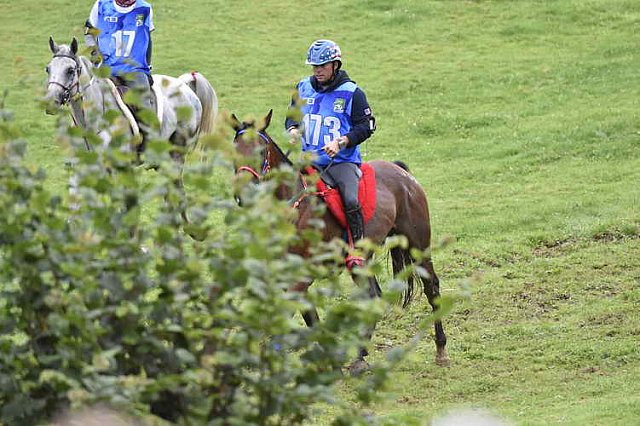 WEG-EnduranceRace-8-28-14-0001318-DDeRosaPhoto