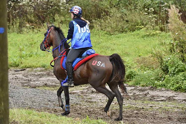 WEG-EnduranceRace-8-28-14-0001345-DDeRosaPhoto