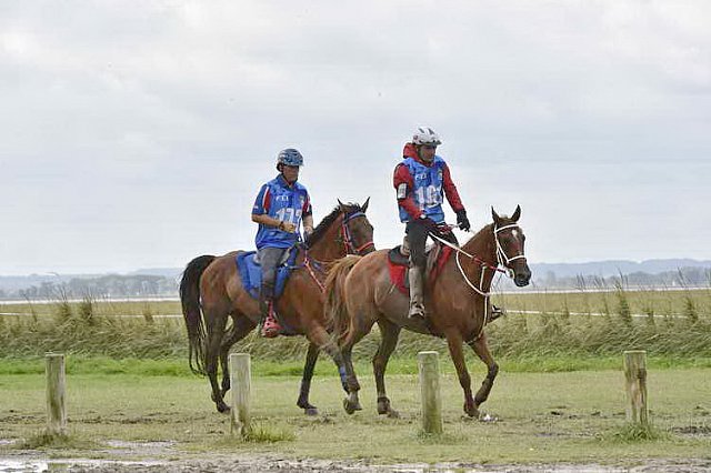 WEG-EnduranceRace-8-28-14-0002204-DDeRosaPhoto