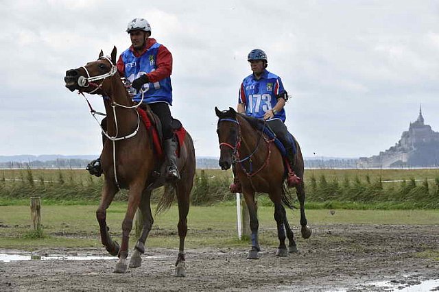 WEG-EnduranceRace-8-28-14-0002220-DDeRosaPhoto