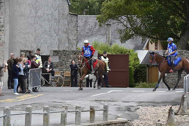 WEG-EnduranceRace-8-28-14-0002248-DDeRosaPhoto