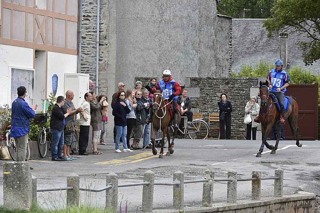 WEG-EnduranceRace-8-28-14-0002251-DDeRosaPhoto