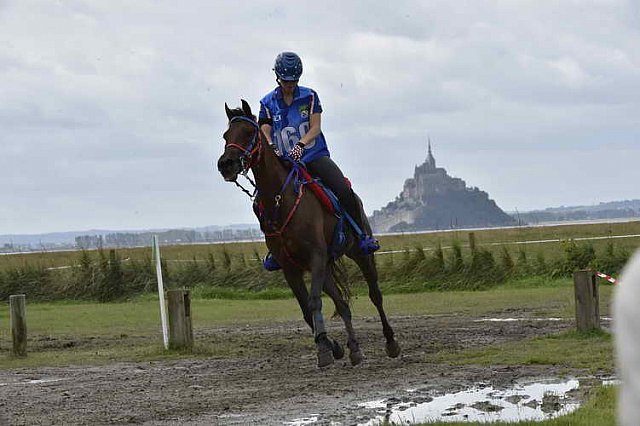 WEG-EnduranceRace-8-28-14-0002299-DDeRosaPhoto