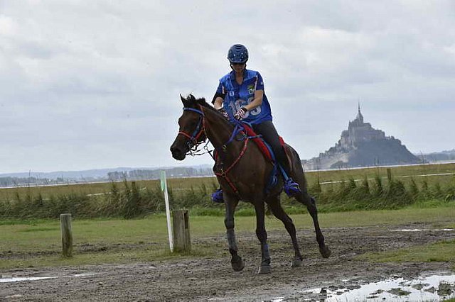 WEG-EnduranceRace-8-28-14-0002300-DDeRosaPhoto