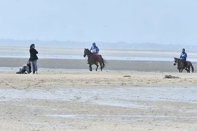 WEG-EnduranceRace-8-28-14-0003785-DDeRosaPhoto