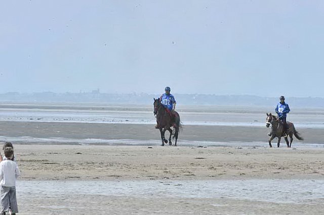 WEG-EnduranceRace-8-28-14-0003790-DDeRosaPhoto