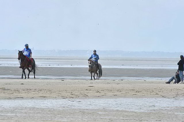 WEG-EnduranceRace-8-28-14-0003795-DDeRosaPhoto