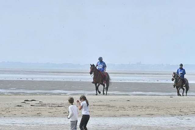 WEG-EnduranceRace-8-28-14-0003799-DDeRosaPhoto