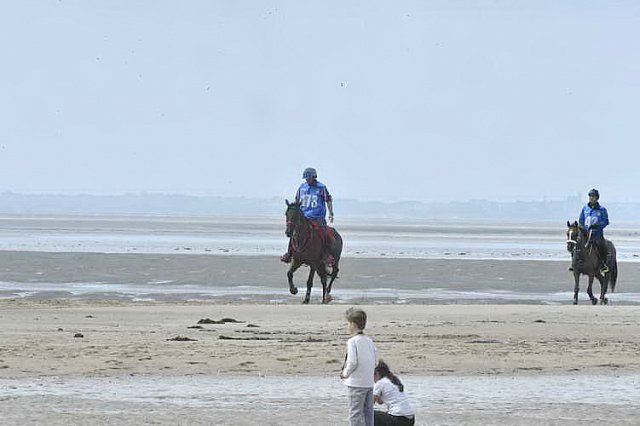 WEG-EnduranceRace-8-28-14-0003804-DDeRosaPhoto